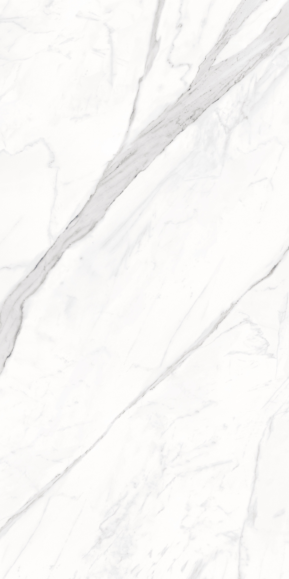 Bianco Calacatta 24x48 Polished Large Rectified Porcelain Tile ...