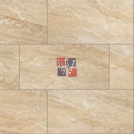 Buy Aria Oro 24x48 Polished Porcelain Tile | Porcelain Tiles ...