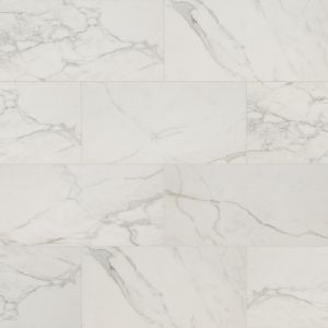 Regallo Calacatta Isla 12x24 Matte Porcelain